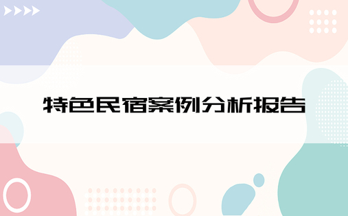 特色民宿案例分析报告